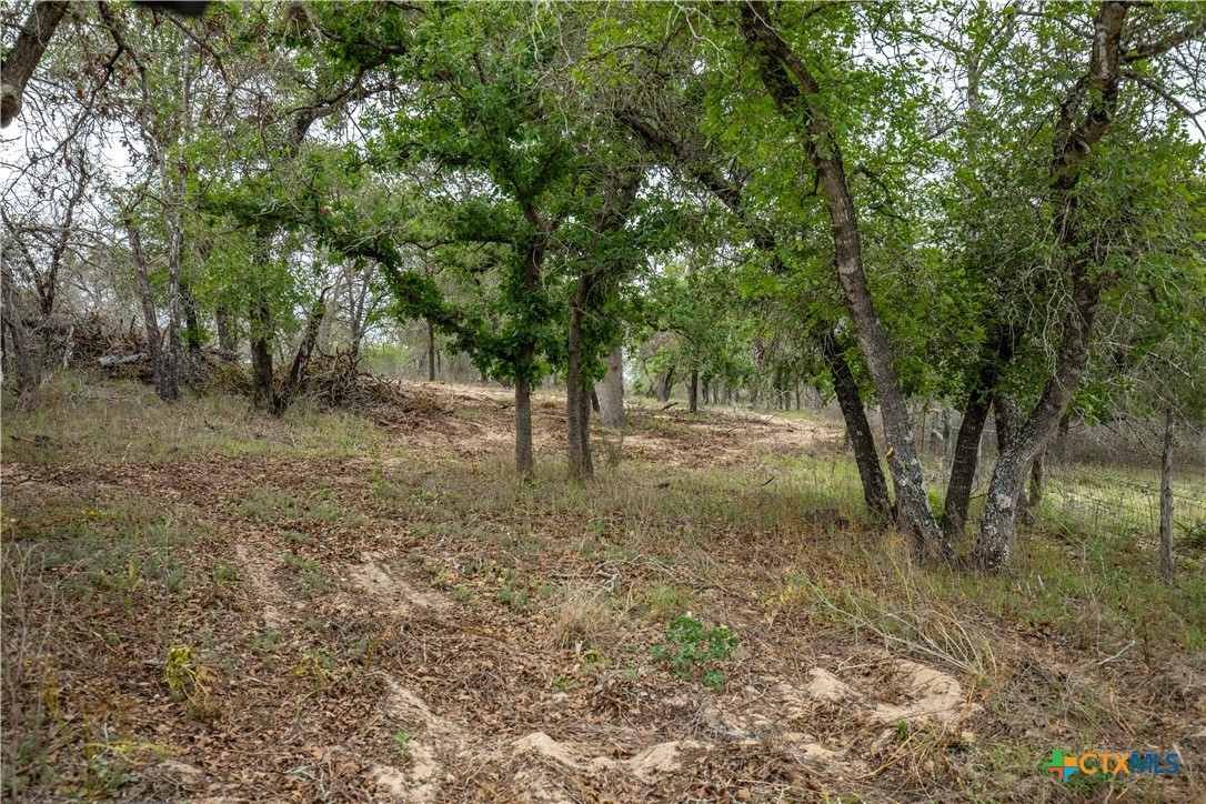 main property photo 44