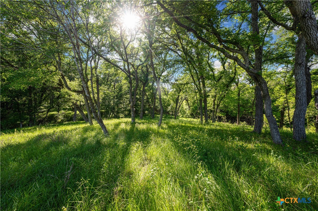 main property photo 40
