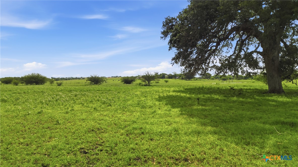 main property photo 39