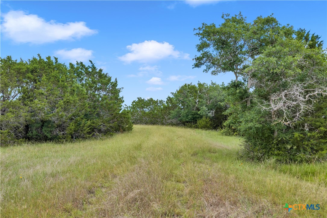 main property photo 19