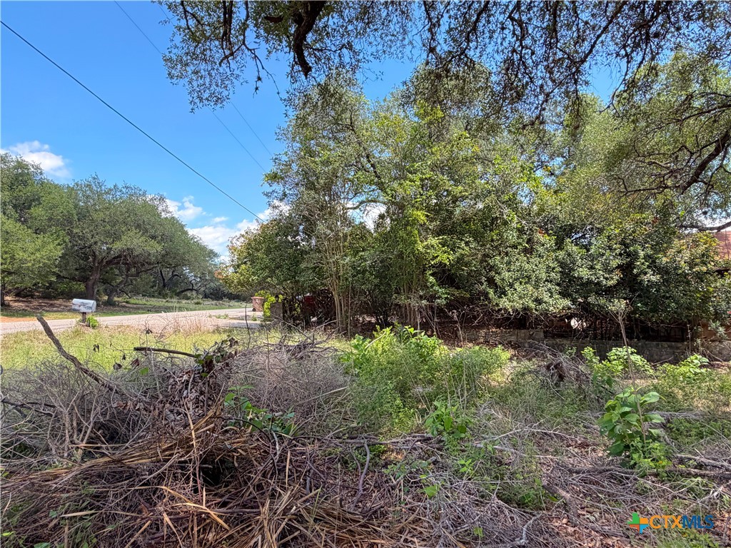 main property photo 16