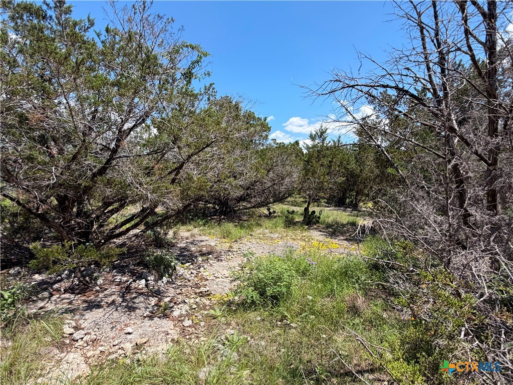 main property photo 11