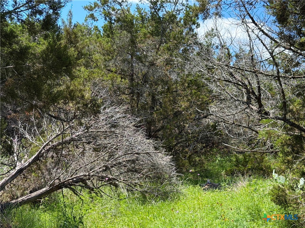 main property photo 10