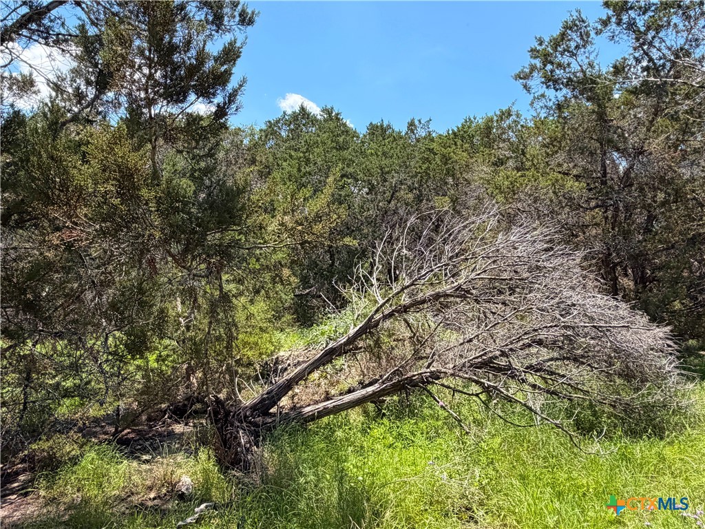 main property photo 11