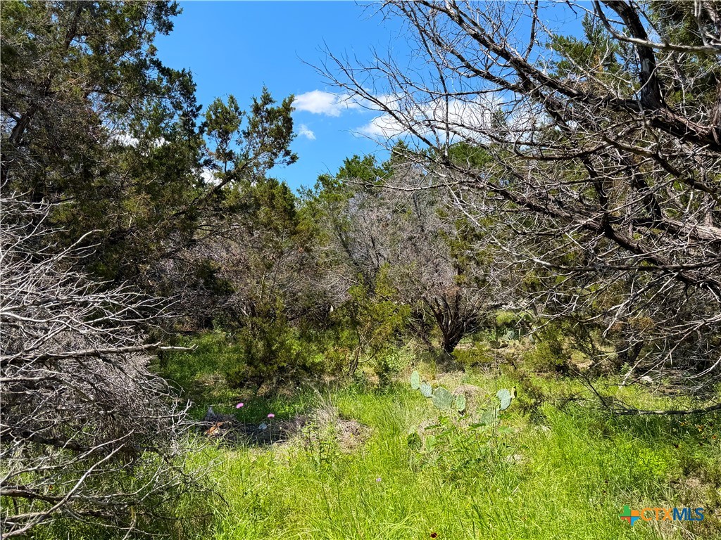 main property photo 12