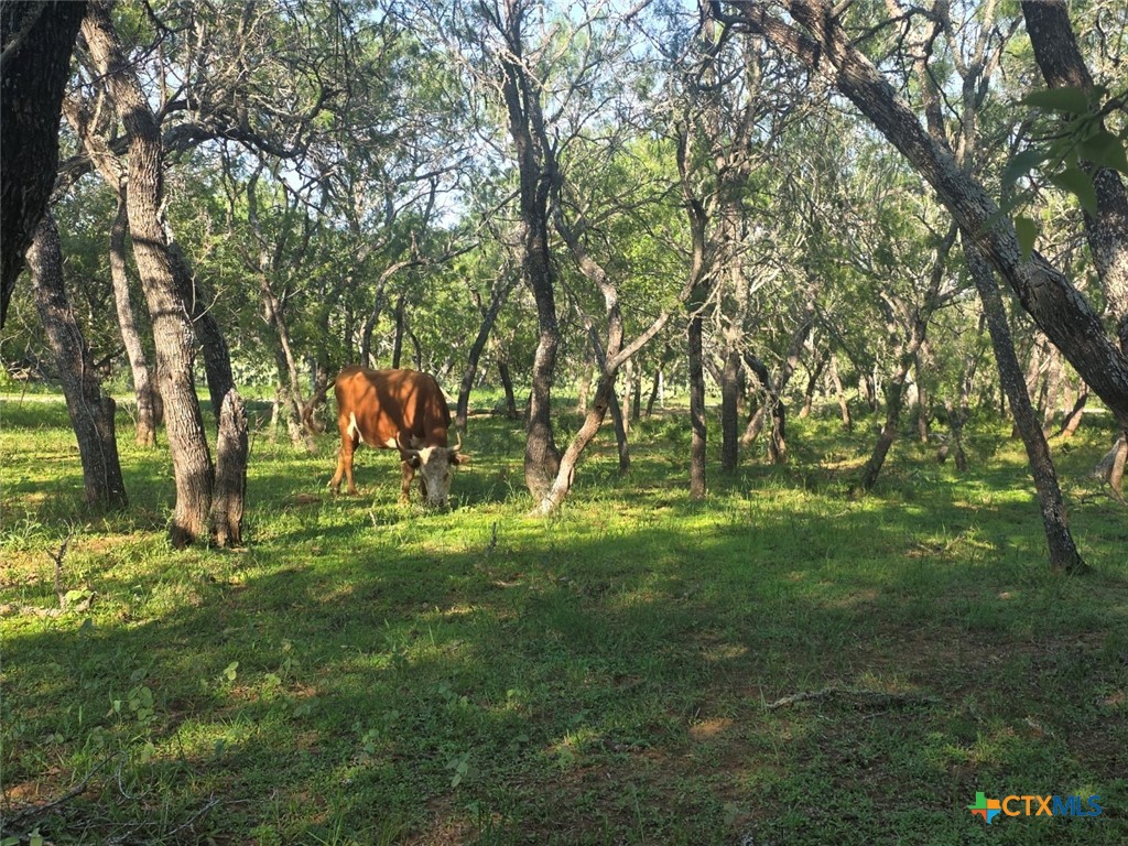 main property photo 9