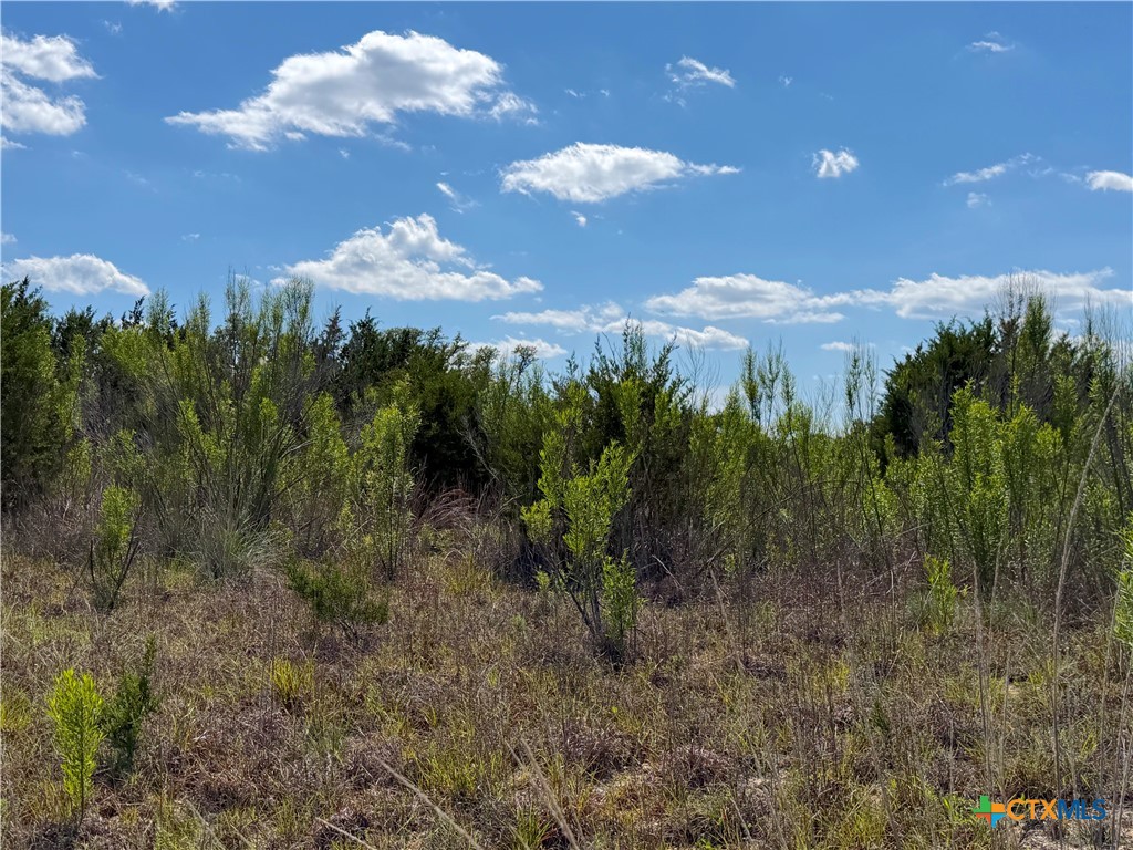 main property photo 10
