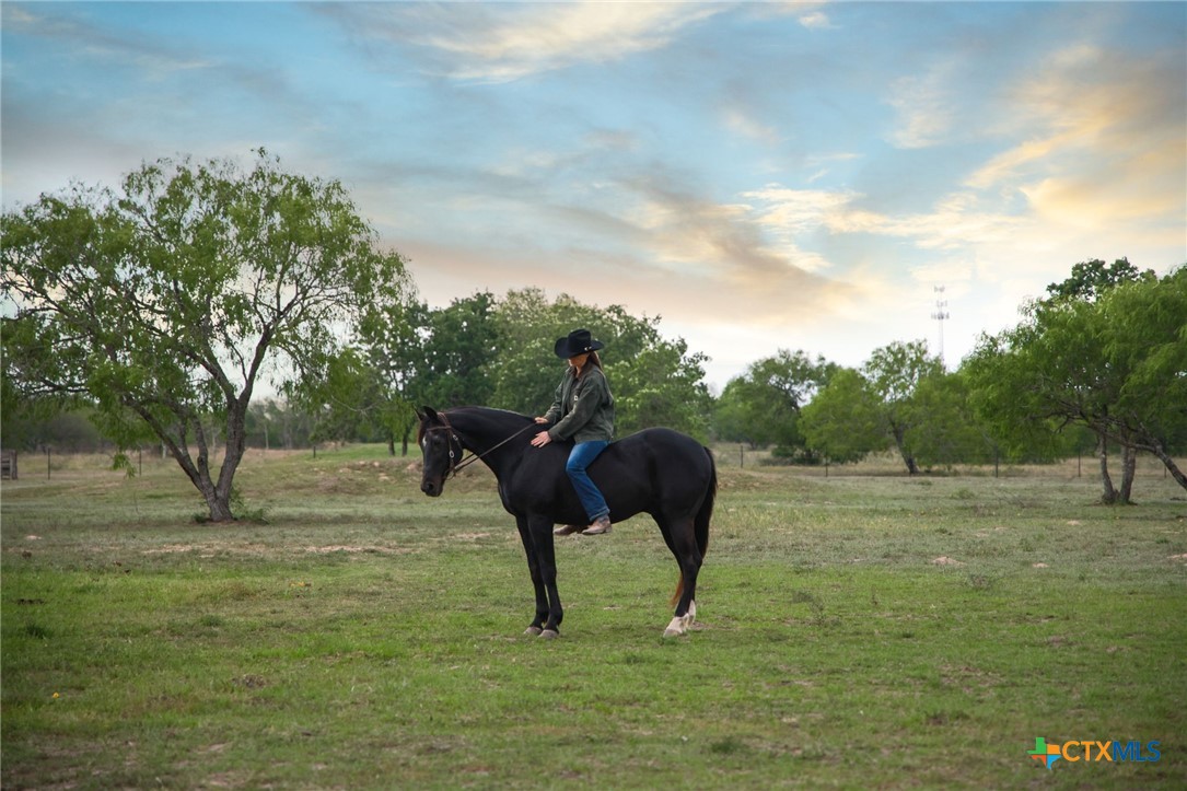 main property photo 45