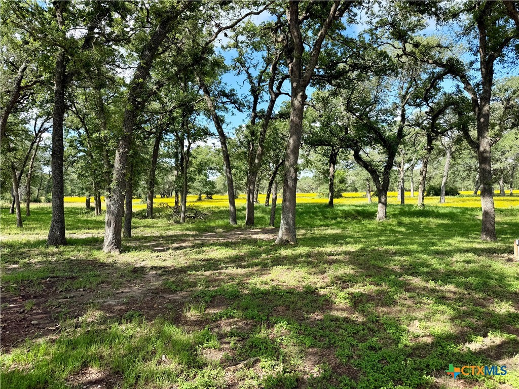 main property photo 11