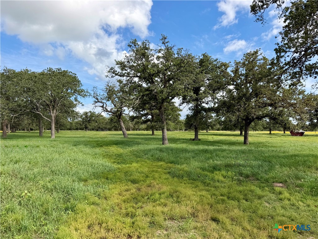 main property photo 11