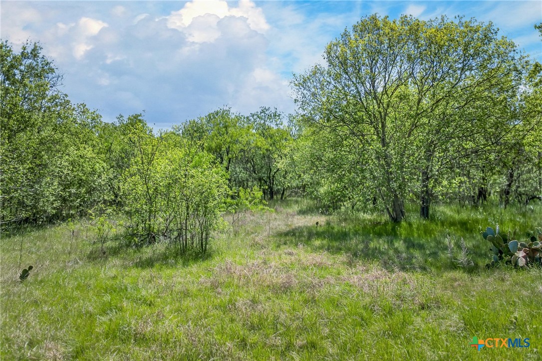 main property photo 11
