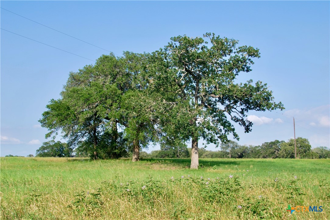 main property photo 44