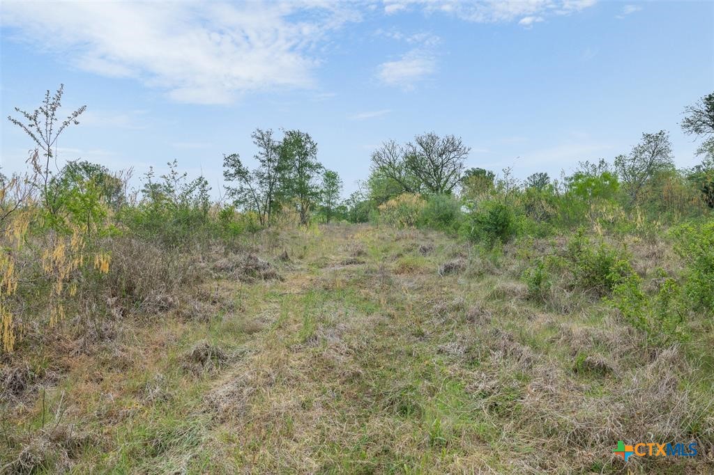 main property photo 39