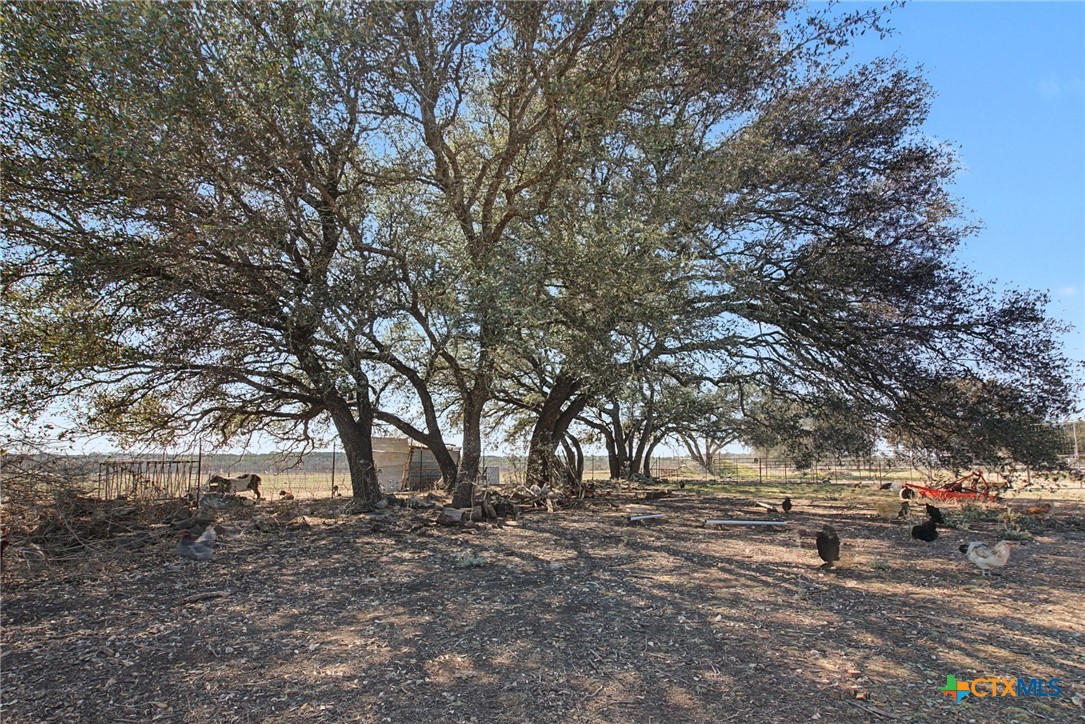 property viewer photo 6