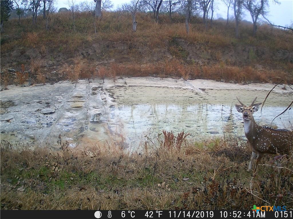 main property photo 11
