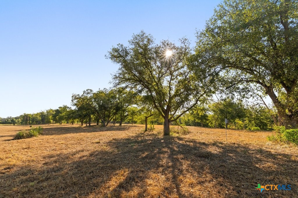main property photo 37