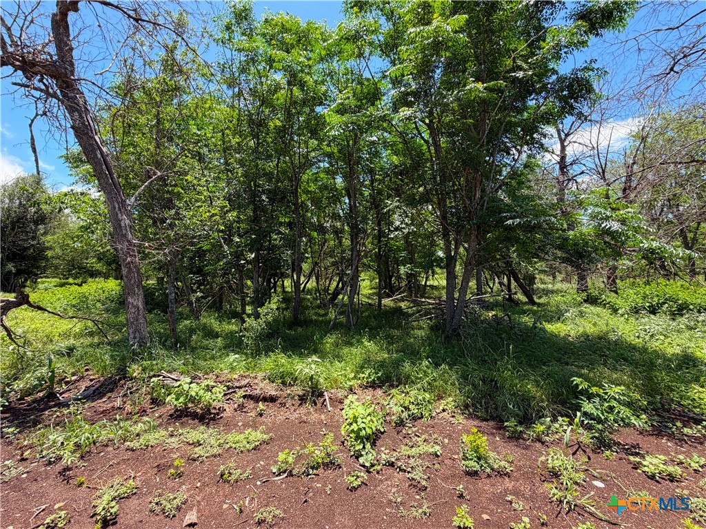 main property photo 20