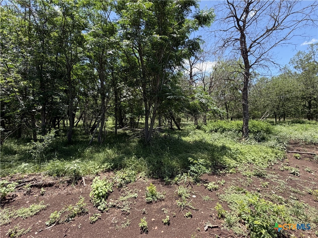 main property photo 21