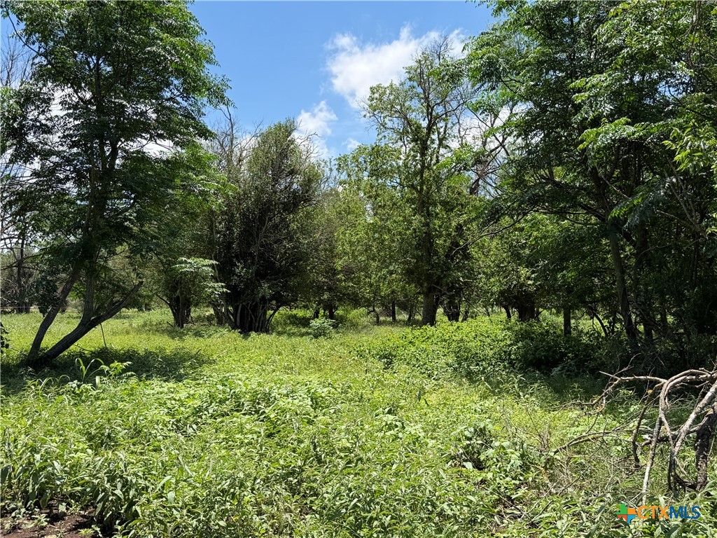 main property photo 22