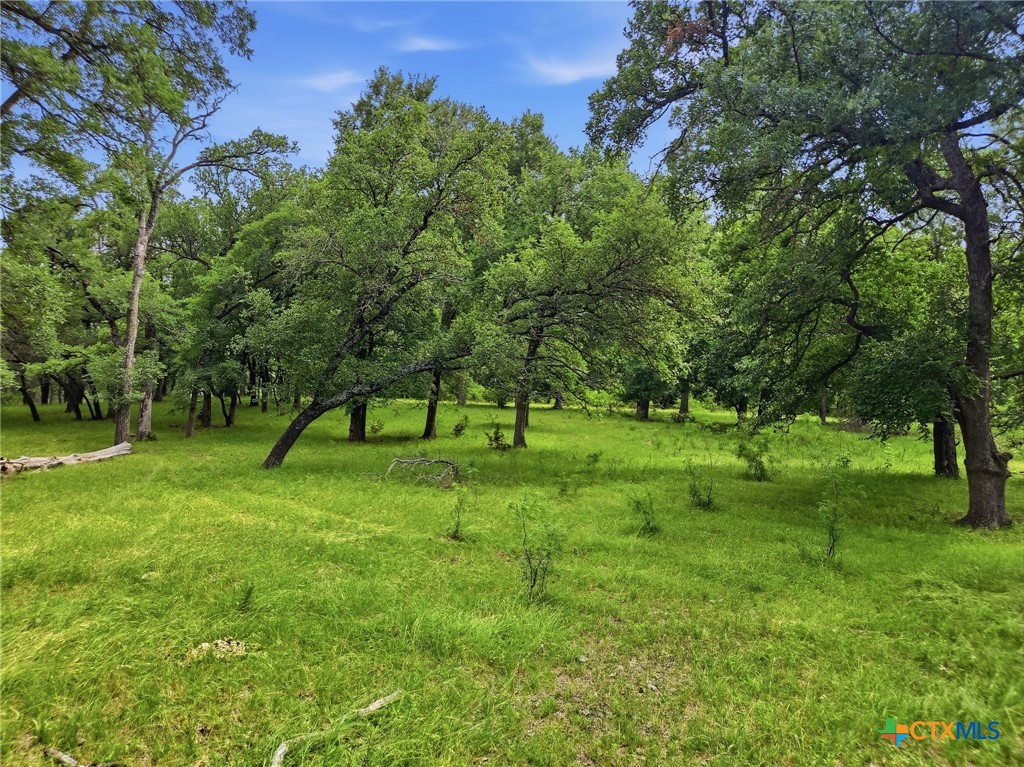 main property photo 36