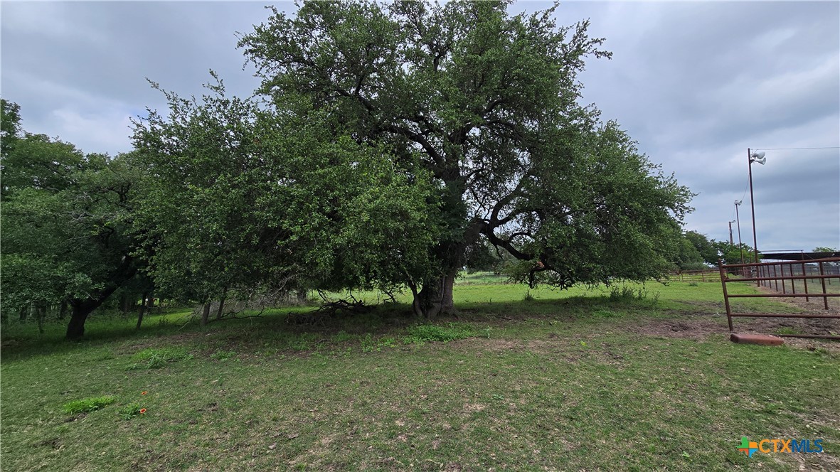 main property photo 39