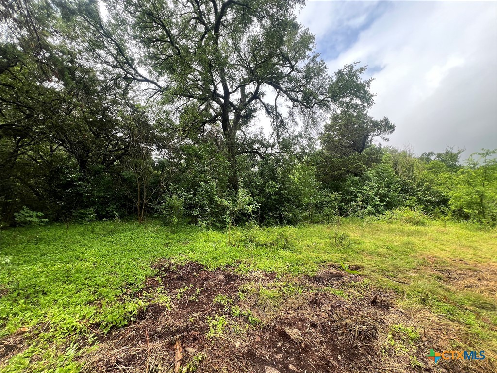main property photo 11