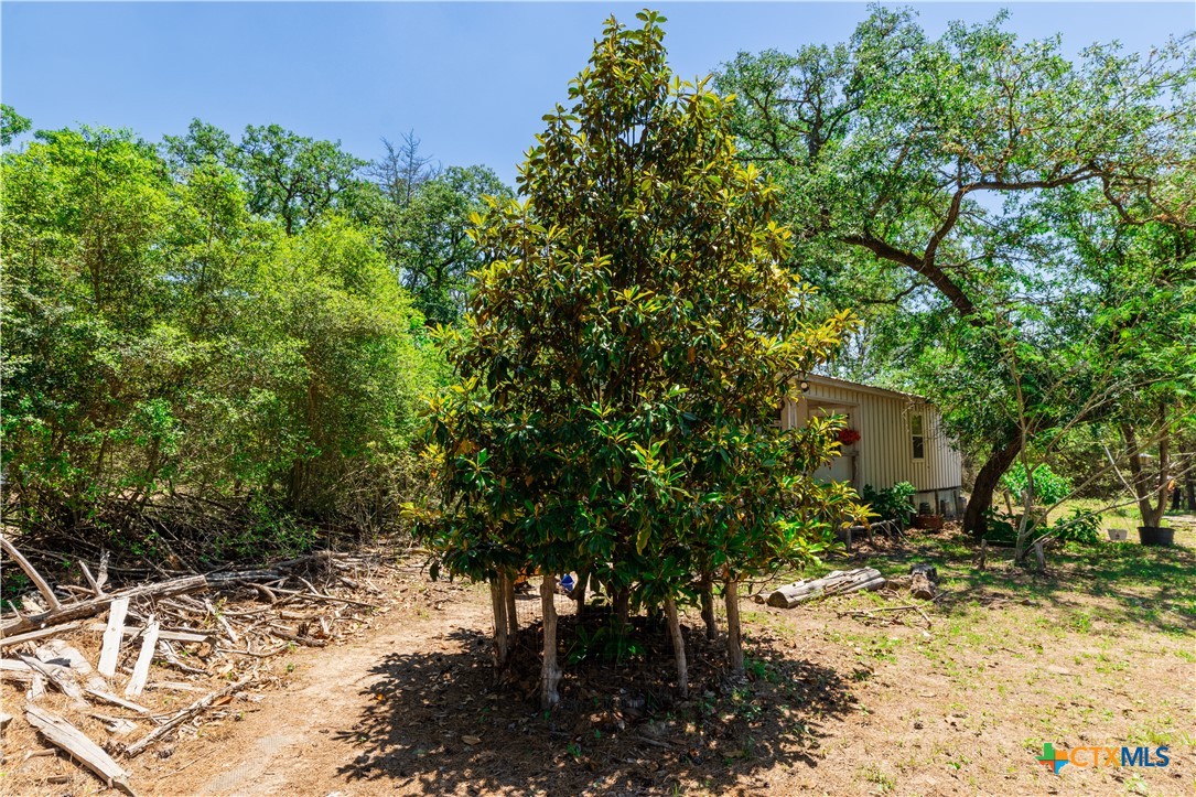 main property photo 14