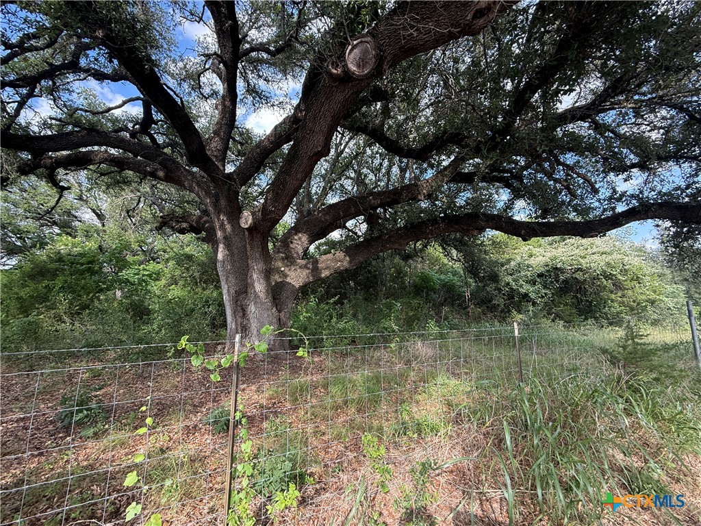 main property photo 39