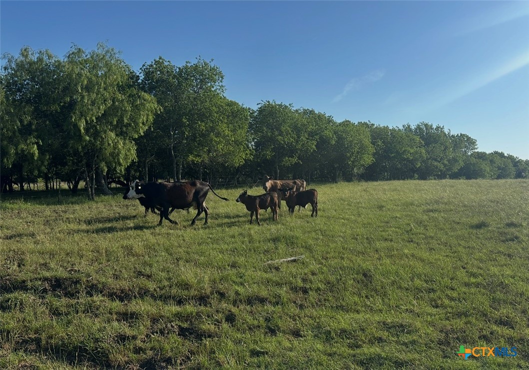main property photo 25