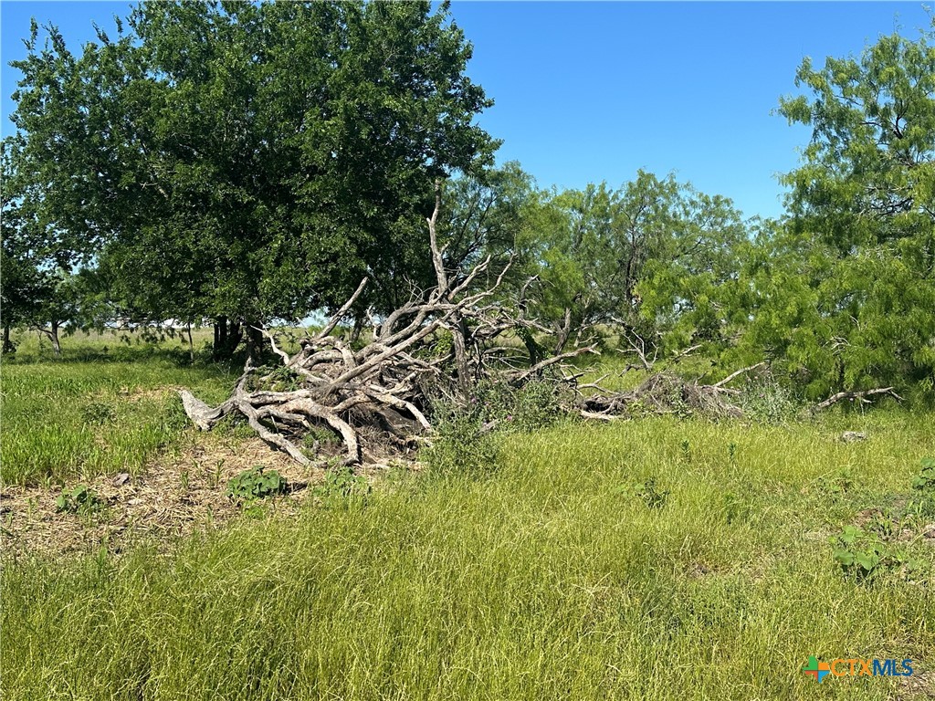 main property photo 26