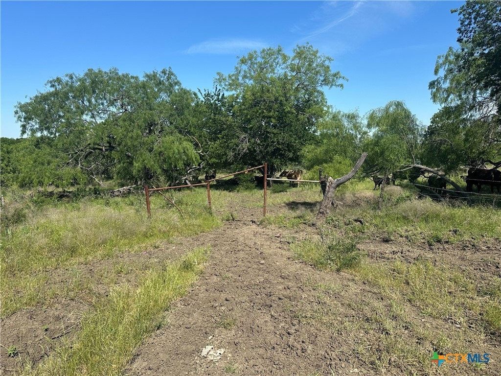 main property photo 36