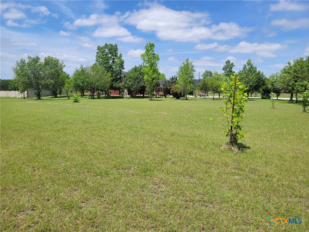 main property photo 6