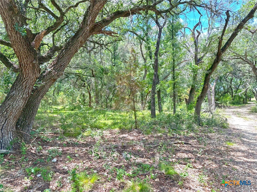 main property photo 10