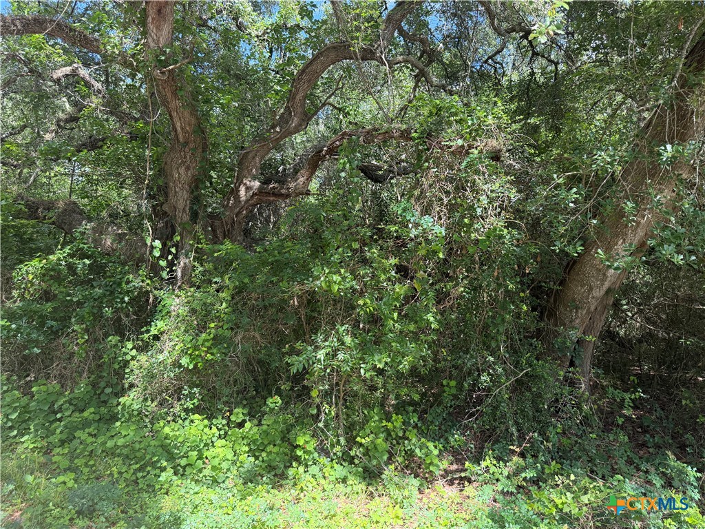 main property photo 0