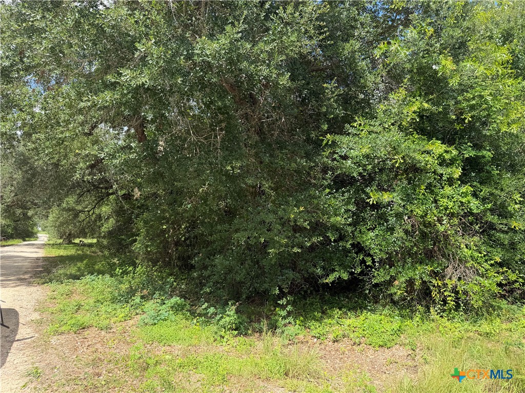 main property photo 6