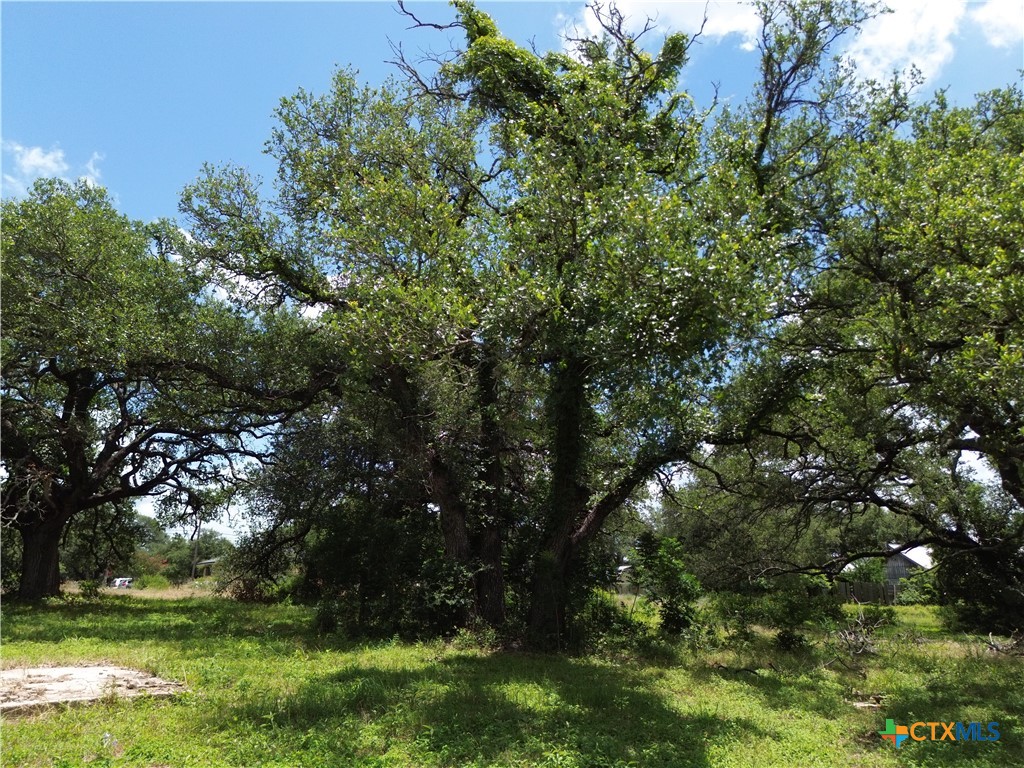main property photo 9