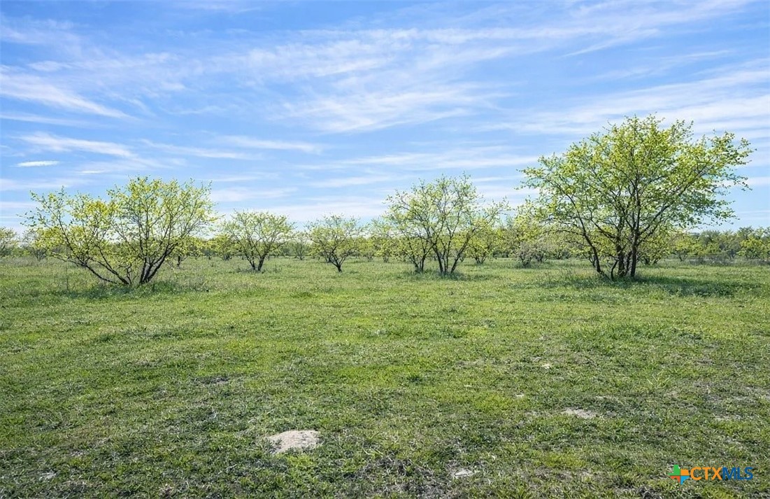 main property photo 10