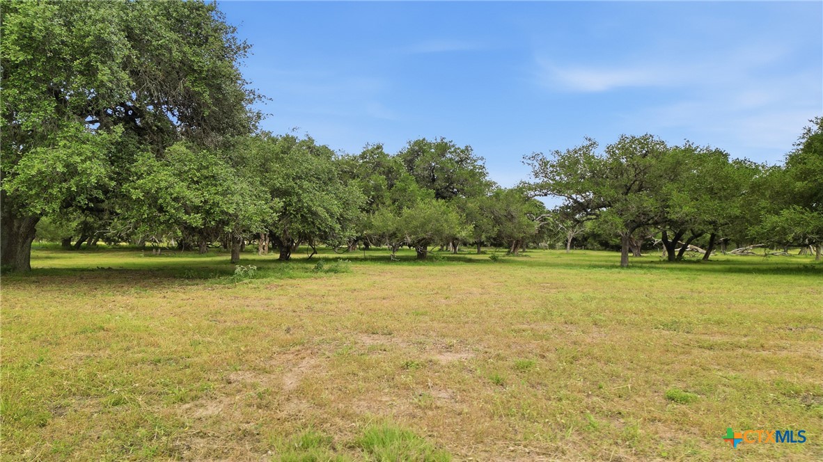 main property photo 41
