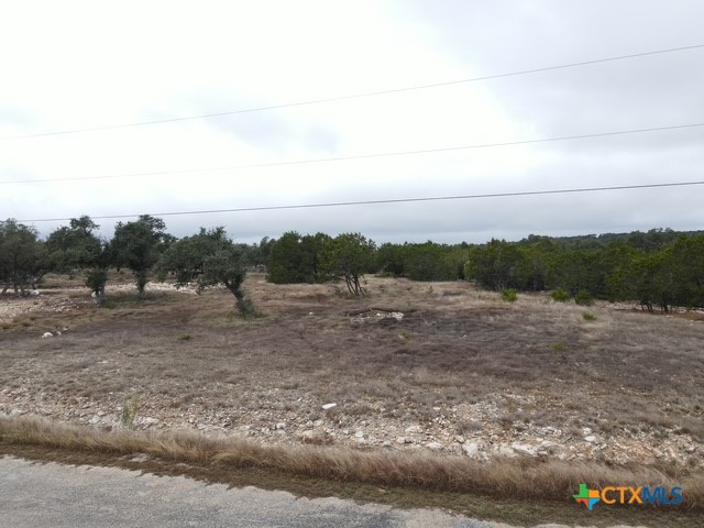 main property photo 13