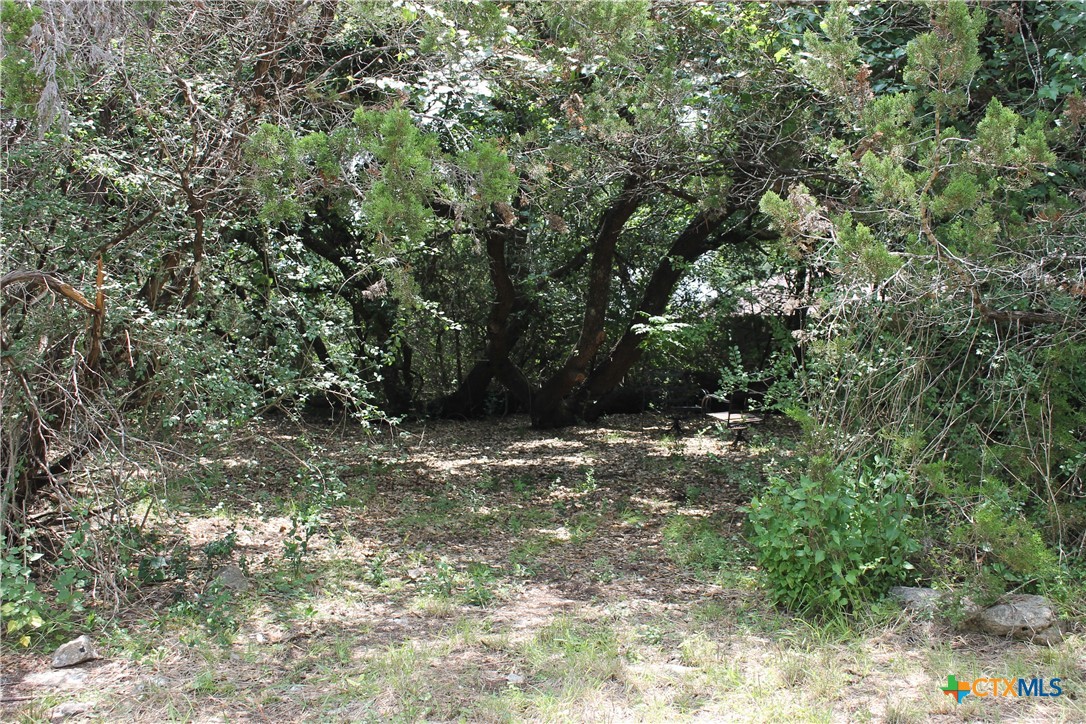 main property photo 36