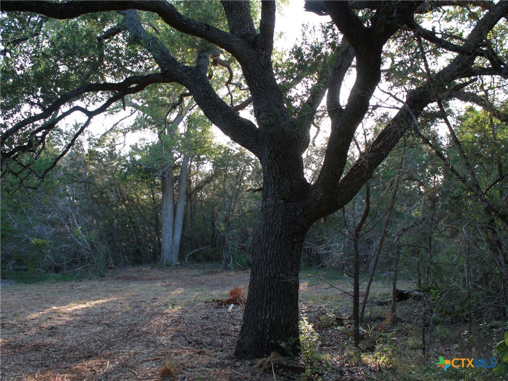 main property photo 21