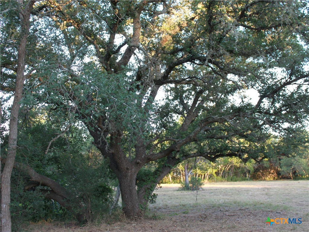 main property photo 23