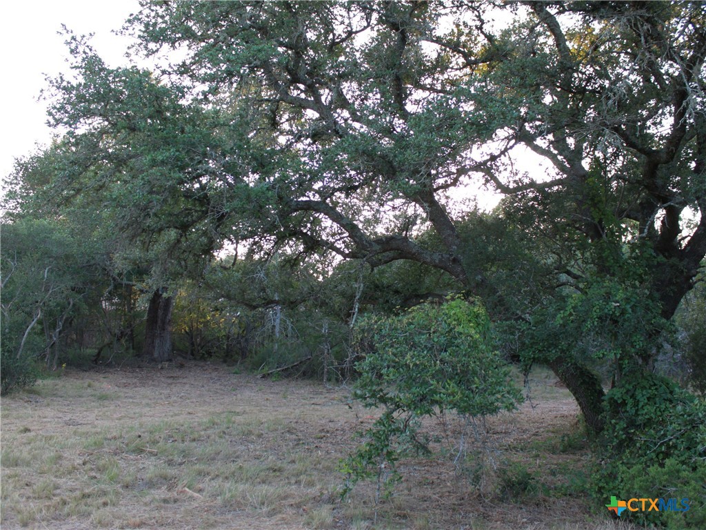 main property photo 24