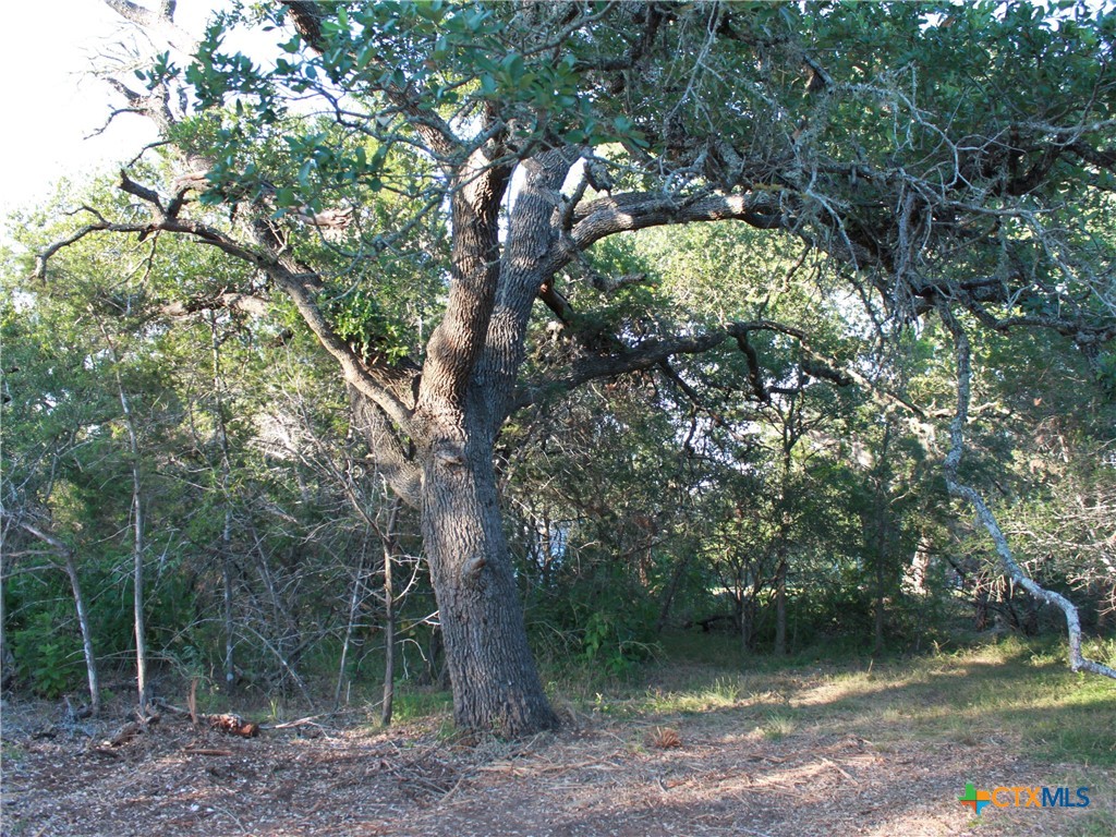 main property photo 26