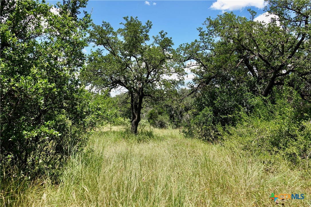 main property photo 25