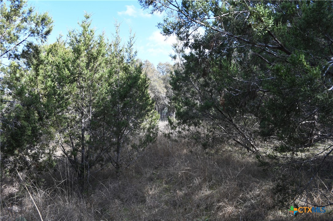 main property photo 10