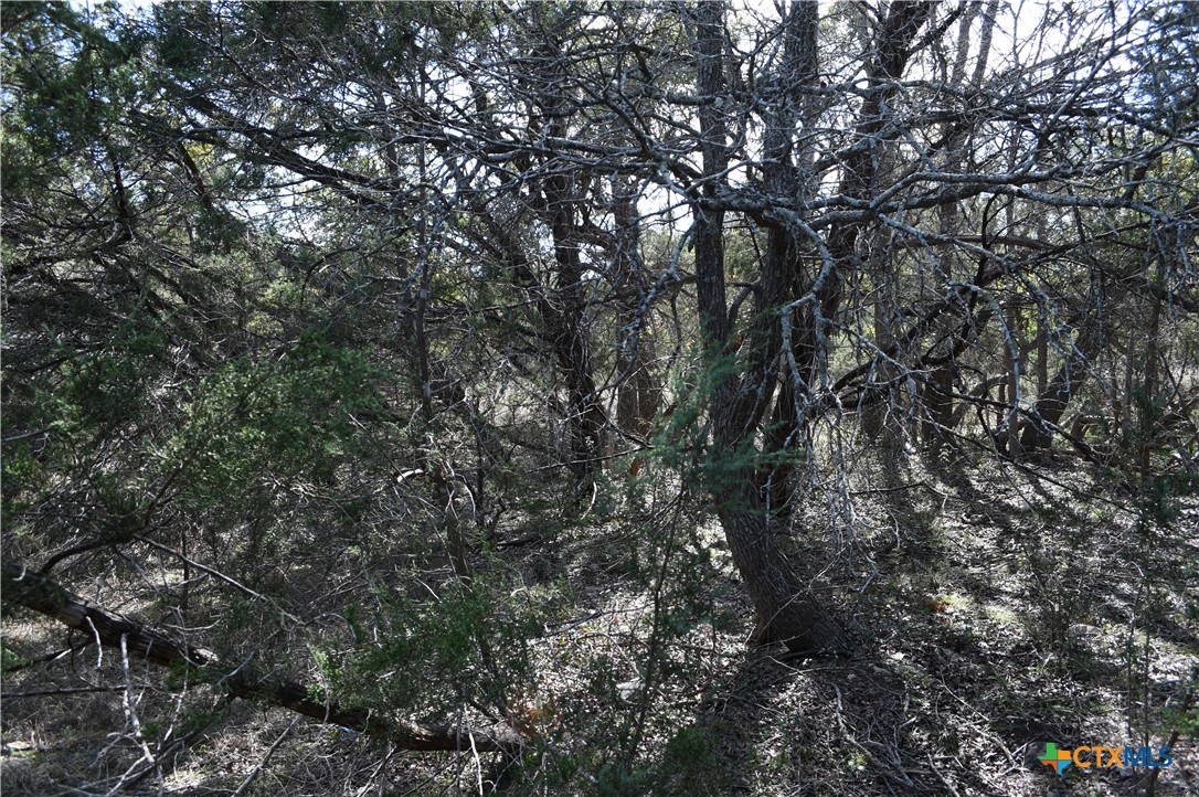 main property photo 11