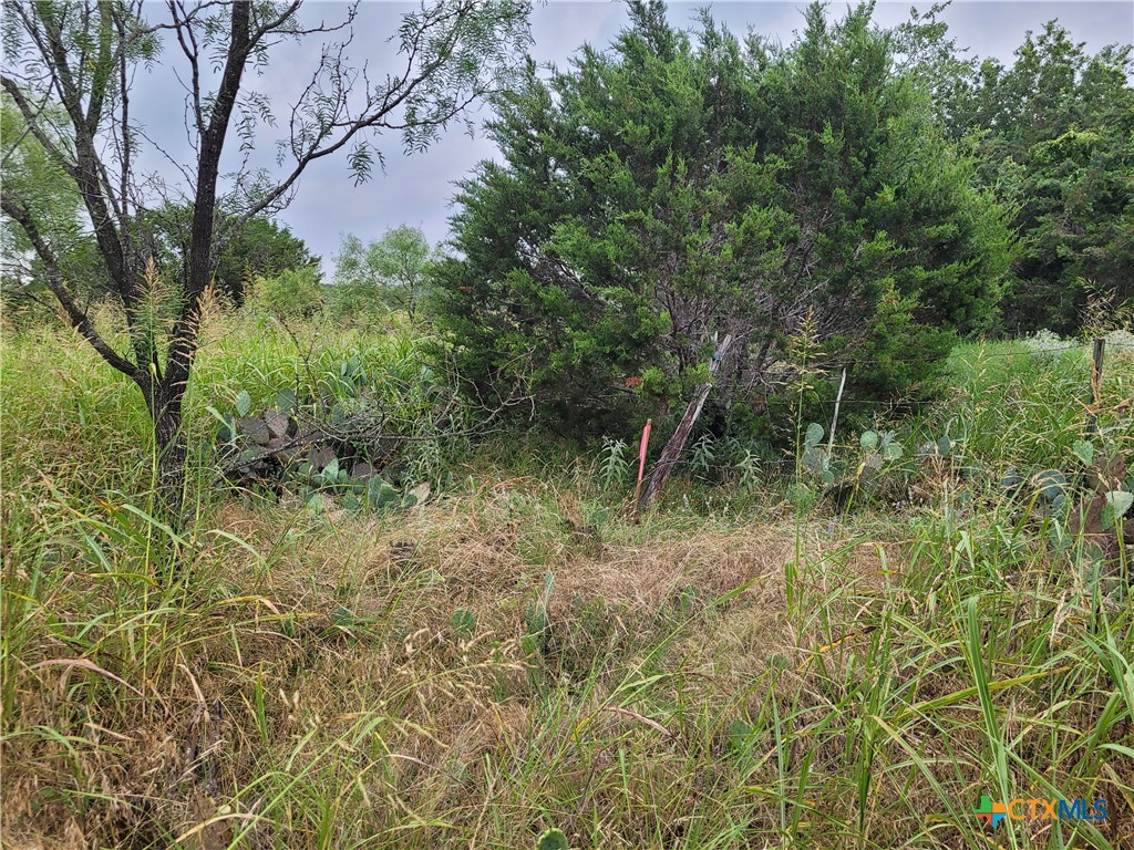 main property photo 16