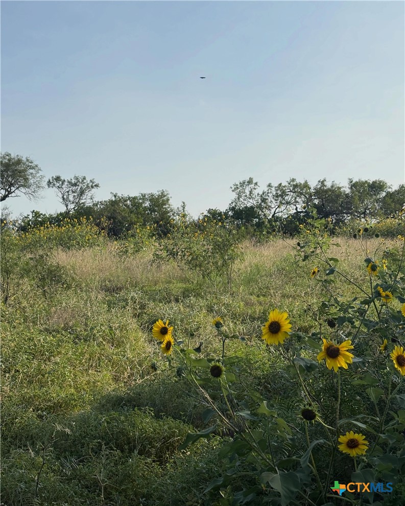 main property photo 7