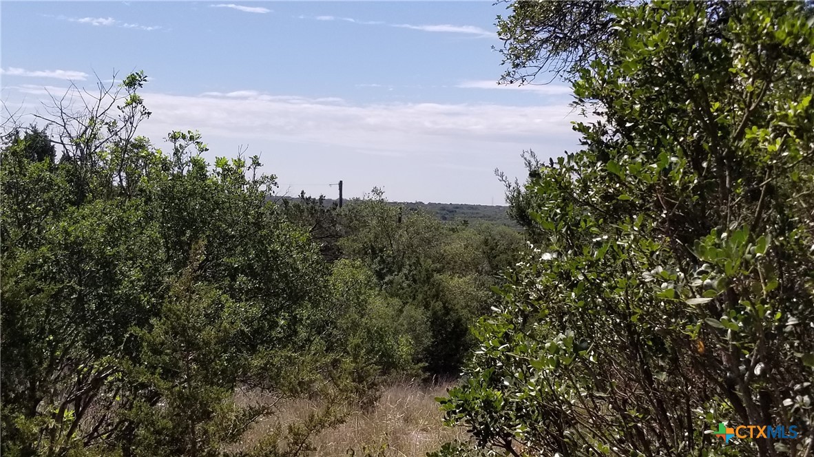 main property photo 11